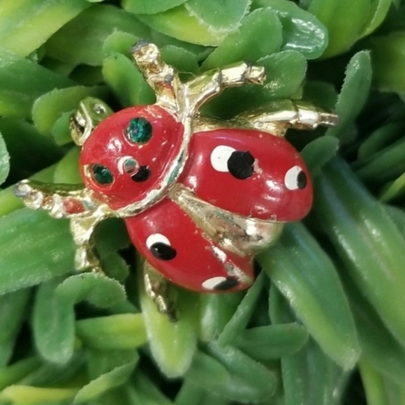 Jewelry - Vintage Ladybug Brooch W/ Green Eyes